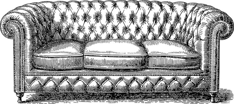 Vintage chesterfield sofa vector drawing, classic tufted couch hand drawn in engraving art style.