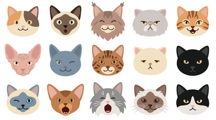 Fototapeta premium Cute Cat Face Expressions Collection, Flat Vector Kitten Breeds Icons, Pet Cat Avatars Set