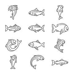 Obraz premium Set of minimalist fish icons isolated on white background