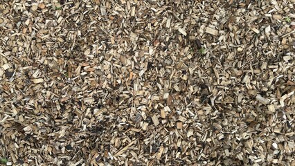 Fototapeta premium Wooden Pellets Forest Ground