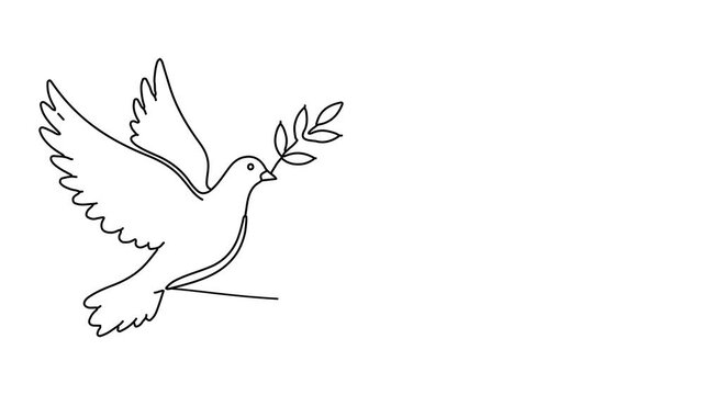 Animation of line drawing of dove carrying an olive branch symbolizing peace and human dignity.