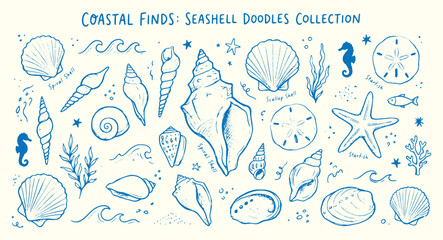 Coastal finds seashell doodles collection with various shells starfish and seahorses on cream background © Meizan 