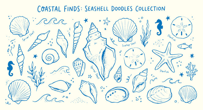 Coastal finds seashell doodles collection with various shells starfish and seahorses on cream background