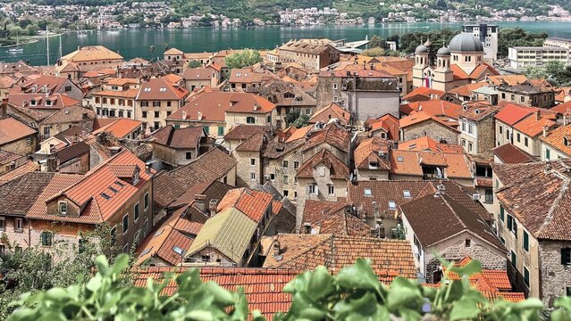 Kotor town rooftops and Bay of Kotor with mountain slopes in springtime