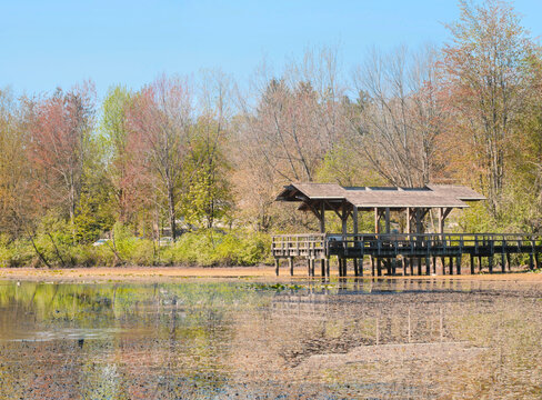 Fishtrap Creek Park during a spring season in Abbotsford, British Columbia, Canada