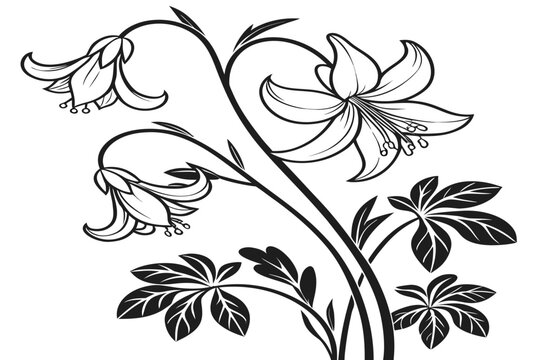 coloring page line art the meadow rue flower black vector