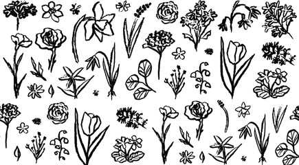 Versatile vector collection of hand-drawn floral elements and botanical sketches, perfect for adding an organic and artistic touch to diverse design projects and natural themes © Pronob Kumar Ray