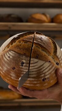A close-up shot of a baker holding and cutting a freshly baked cranberry sourdough loaf in a warm bakery setting, showing the detailed scored crust.