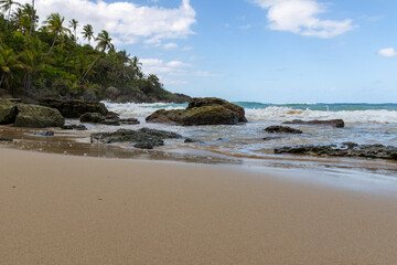 Fototapeta premium tropical playa preciosa beach with palm trees and wild coastal waves in the dominican republic