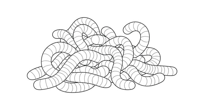Large tangled pile of earthworms or maggots shown in a detailed black and white line drawing emphasizing their segmented bodies.