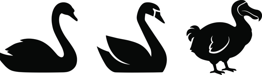 Black bird silhouettes set featuring swimming swans and a dodo bird vector graphics isolated on white background © MdMehedi