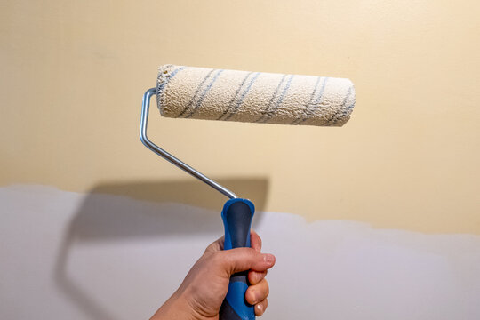 Hand holding paint roller near primed wall in interior space