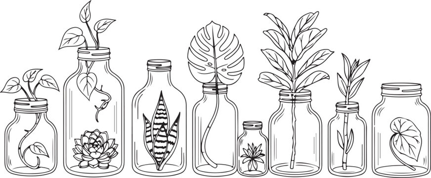 Set of six vintage botanical illustration vials with flowers and plants Vector
