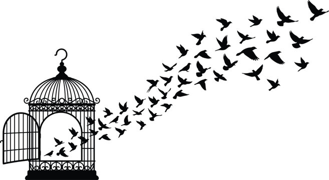 Flock of birds flying out of an open cage silhouette isolated on a white background