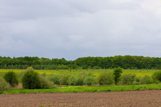 A picturesque rural landscape with a plowed field in the foreground and green meadows in the distance. A dense belt of deciduous forest stretches along the horizon under the low clouds of a stormy spr