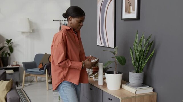 African American young woman spraying leaf of potted plant with spray gun and wiping it in living room