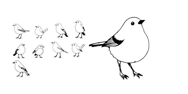 Robin Outline Round Body Simple Bird Line Art Illustration Isolated on White Background Pack for Wildlife Nature Spring Garden Animal and Minimal Avian Design