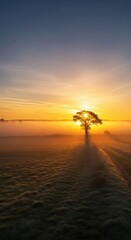 Fototapeta premium Brilliant golden light bursts over a tranquil rural landscape as the sun rises, casting long shadows across the misty morning terrain, landscape, rural, peaceful