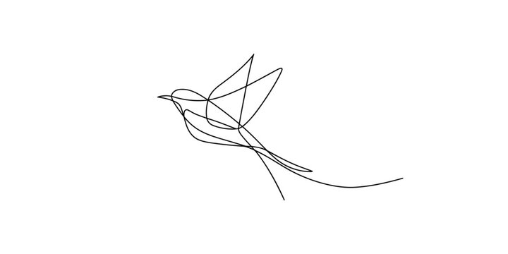 A minimalist line drawing of a bird in flight on a white background with simple curved lines