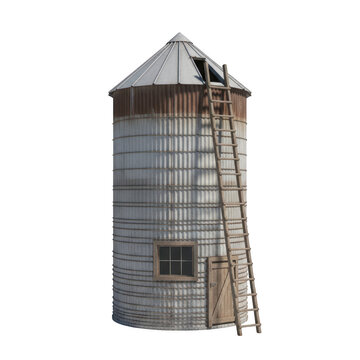 Large metal grain silo with external maintenance ladder and roof hatch