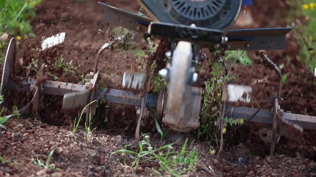 The farmer tilling the soil to prepare for planting.