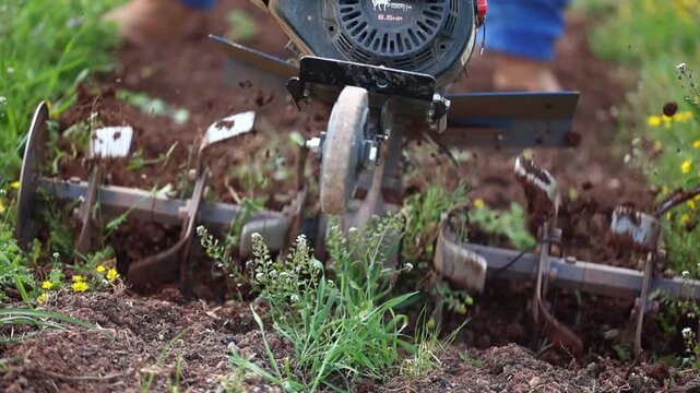 The farmer tilling the soil to prepare for planting.