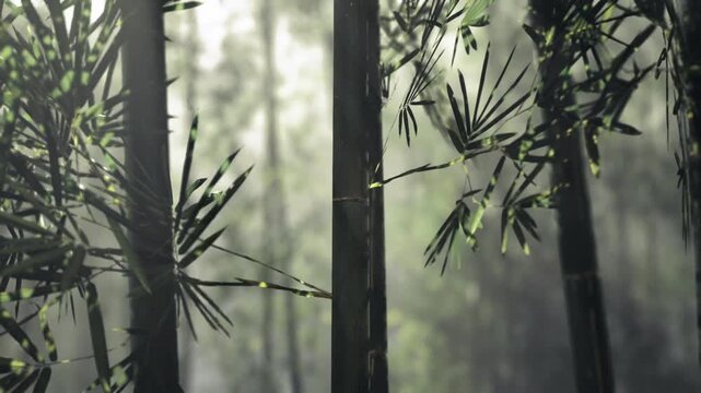 Calm bamboo clearing with soft bokeh and filtered light, gentle mist weaving between trunks, restorative atmosphere inviting mindful walks and wellness practice