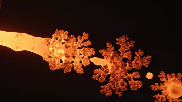 Macro view of intricate crystalline structures forming and expanding as if delicate ice flowers budding and blossoming under a warm, fiery glow against a dark canvas, suggesting nascent growth