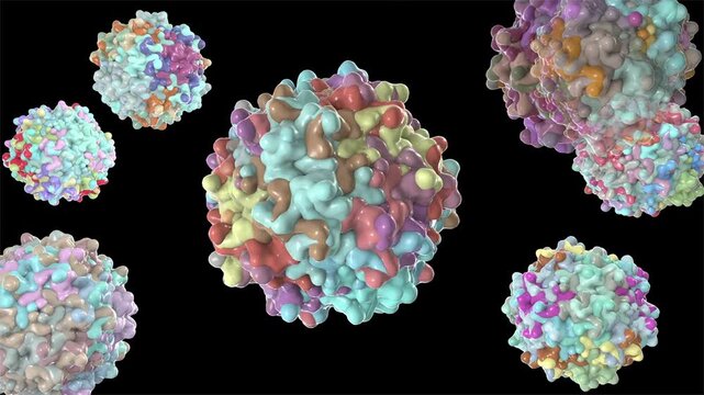 Adeno-associated virus particles slowly rotating and drifting in fluid, detailed capsid structure visualised, molecular virology concept, 3D animation.