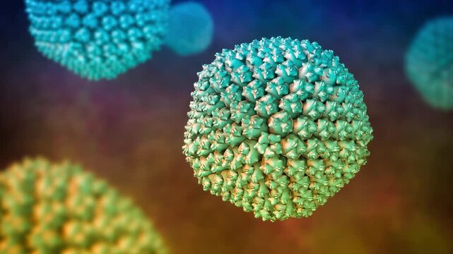 Adenovirus particles slowly rotating and drifting in fluid, detailed icosahedral capsid structure visualised, molecular virology concept, 3D animation.
