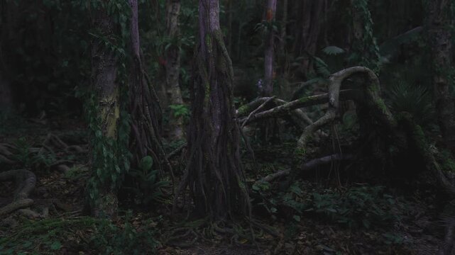 Brooding swamp grove with twisted roots, low visibility, damp soil, sprawling roots and creeping moss, suspenseful atmosphere suited to horror and environmental