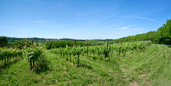 colline moreniche
