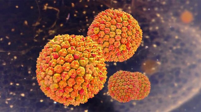 Adenovirus particles slowly rotating and drifting in fluid, detailed icosahedral capsid structure visualised, molecular virology concept, 3D animation.