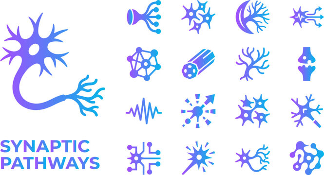 Synaptic pathways neuron and brain cell icons for neuroscience and biology science concepts.