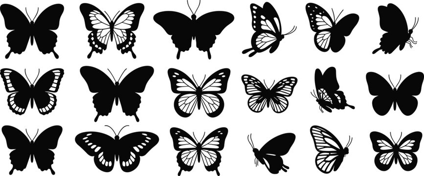 Butterfly silhouettes collection diverse wing shapes patterns abstract insect entomology vector illustration design concept educational biology