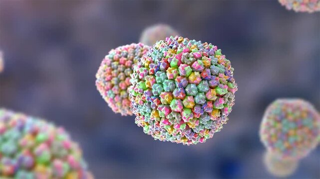Adenovirus particles slowly rotating and drifting in fluid, detailed icosahedral capsid structure visualised, molecular virology concept, 3D animation.