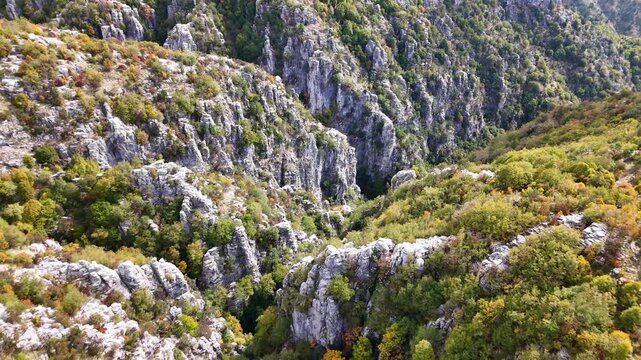 Limestone cliffs and autumn vegetation along Vikos Gorge near Beloi viewpoint, Zagori