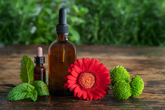 Botanical spa essence with flower and skincare dropper