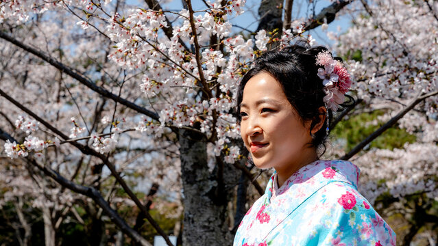 Chinese woman in kimono enjoying sakura at Maruyama Park