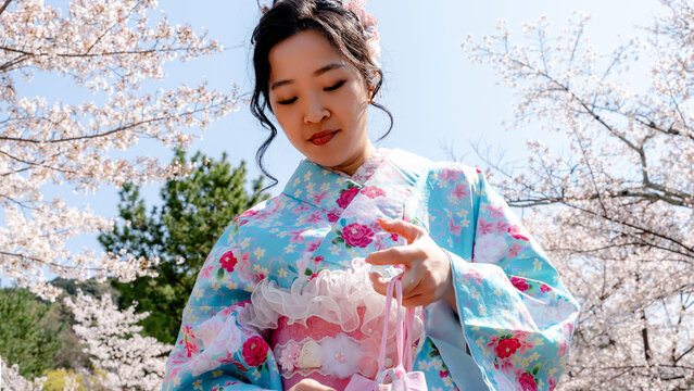 Chinese woman in kimono under cherry blossoms in Japan