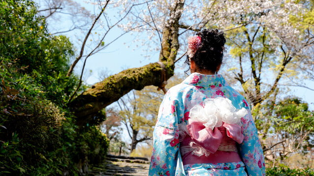 Chinese woman in kimono walking in Maruyama Park, Japan