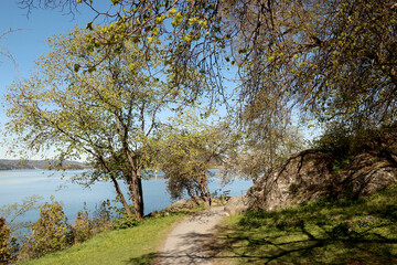 Fototapeta premium Park