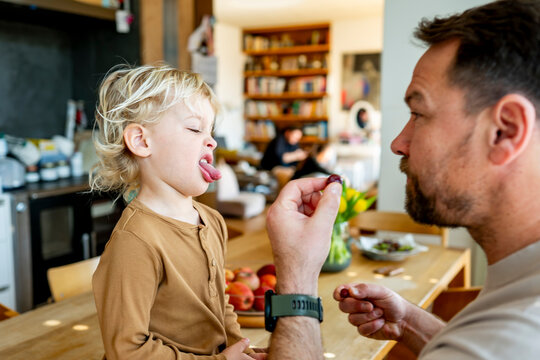 Toddler refusing food offered by father at kitchen.