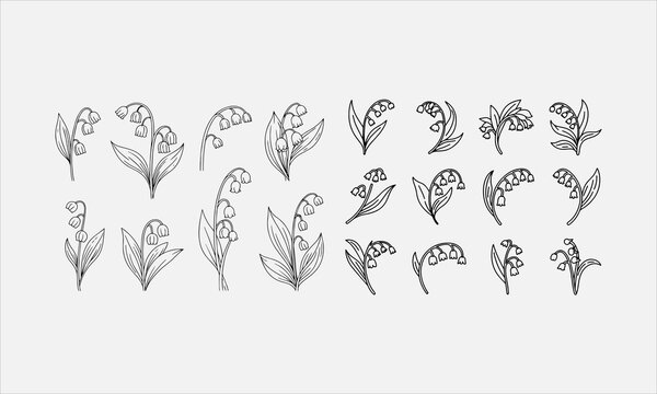 Lily of the valley flower set hand drawn line art icon set vector illustration