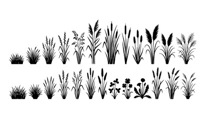 Wild grass and reed silhouette vector pack with black botanical meadow elements © MdRabbi