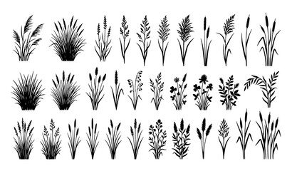 Black grass silhouette vector set with wild meadow plants isolated on white background © MdRabbi