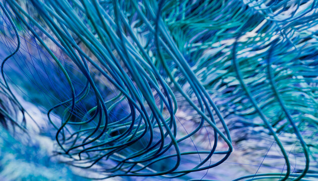 Abstract blue digital render with flowing lines