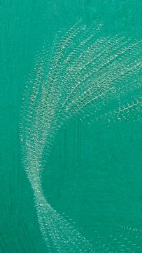 Macro Closeup of White Scratches on Green Plastic Surface