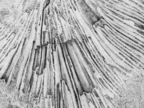 Digital Closeup of Fossilized Coral Texture in Stone Wall