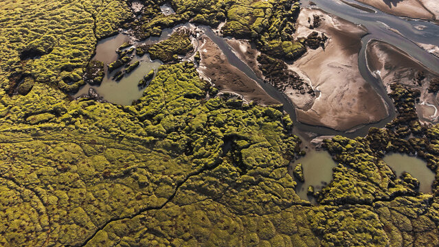 Aerial view of mossy wetlands and river channels in Iceland